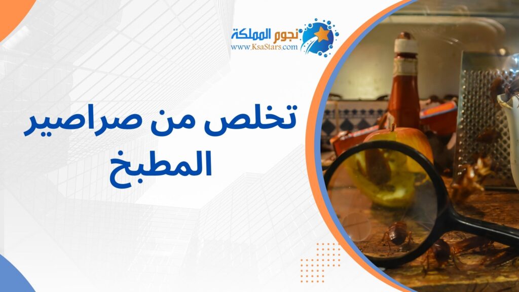 تخلص من صراصير المطبخ بجدة