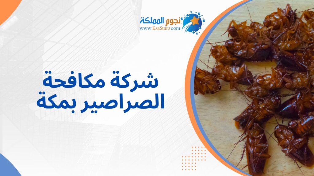 شركة مكافحة الصراصير بمكة