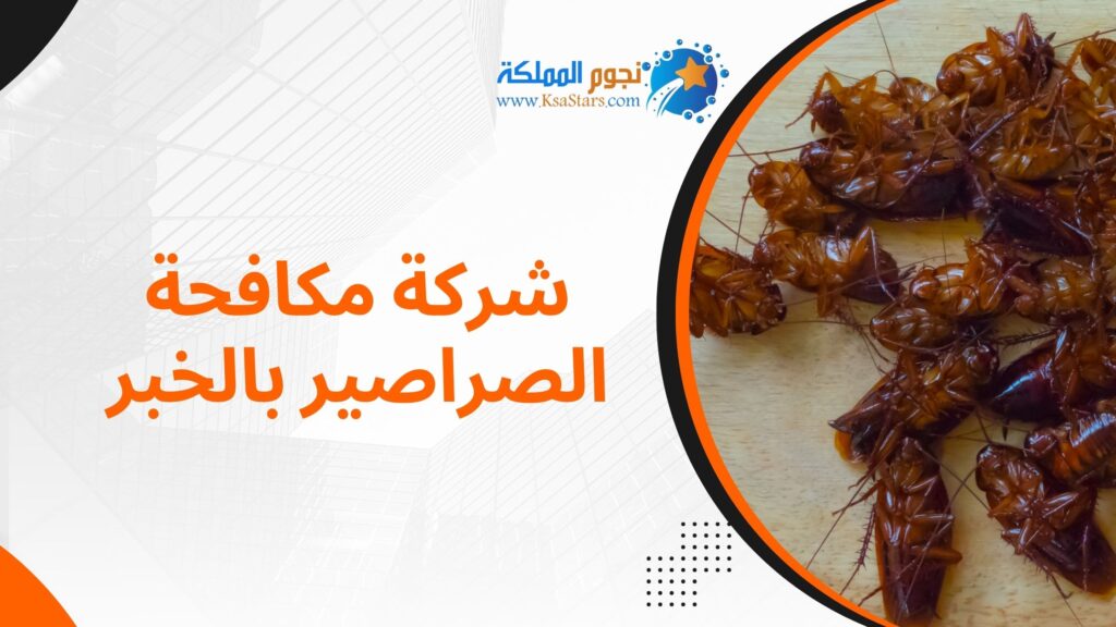 شركة مكافحة الصراصير بالخبر