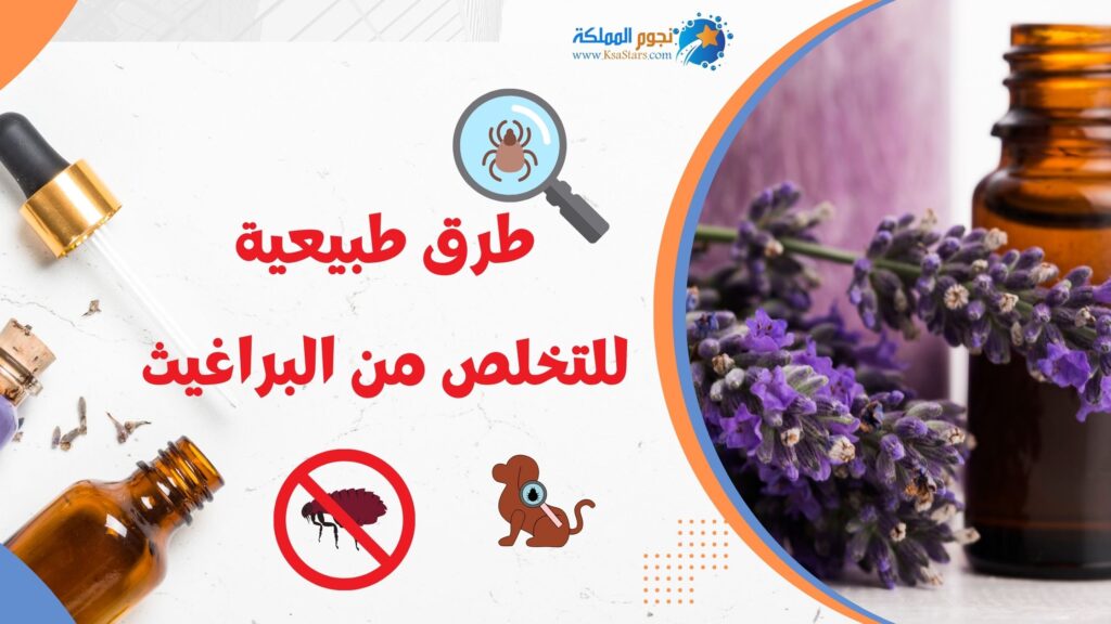 طرق طبيعية للتخلص من البراغيث